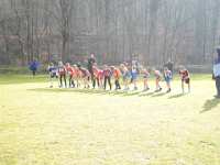 2014.03.02 - Bezirksmeisterschaften im Crosslauf-011